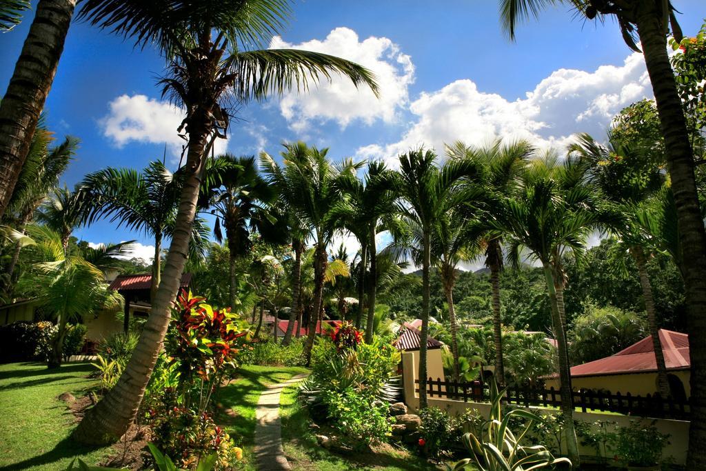 Hotel - Residence Habitation Grande Anse Deshaies Exterior photo